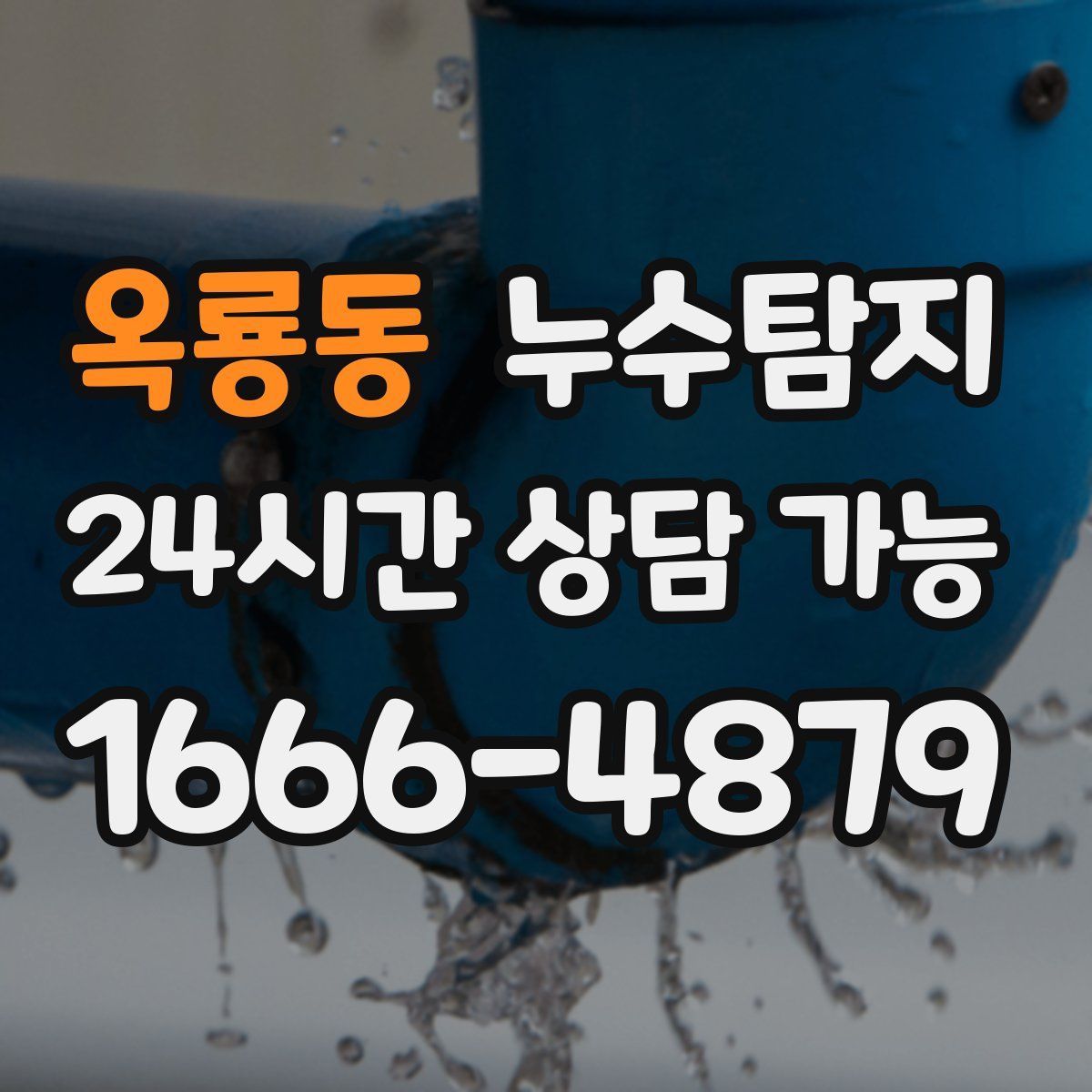 옥룡동 누수탐지