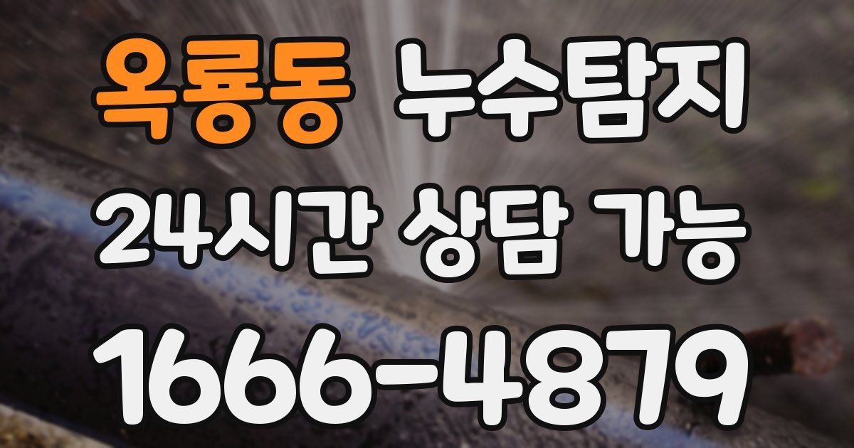 옥룡동 누수
