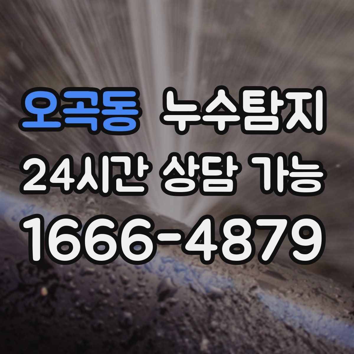 오곡동 누수탐지 상가 영업 중 조용한 점검기
