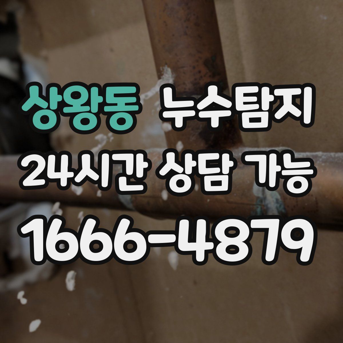 상왕동 누수탐지