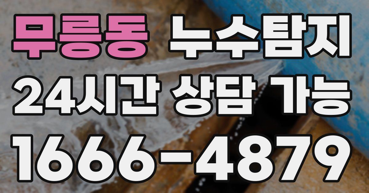 무릉동 누수