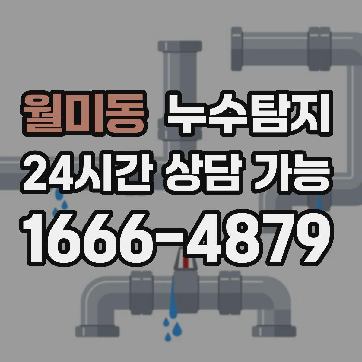 월미동 누수탐지