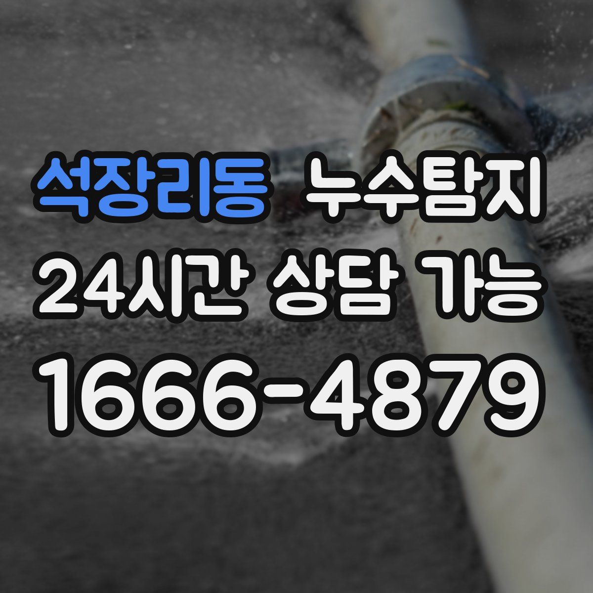 석장리동 누수탐지