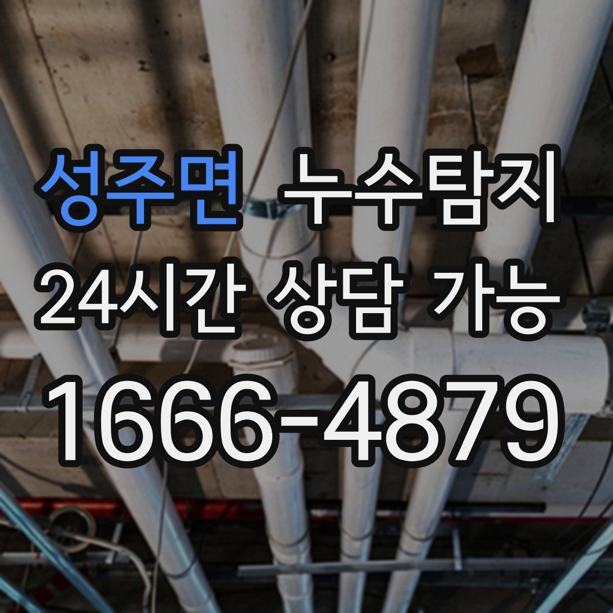 성주면 누수탐지 당일 상담과 긴급 점검 이용 후기