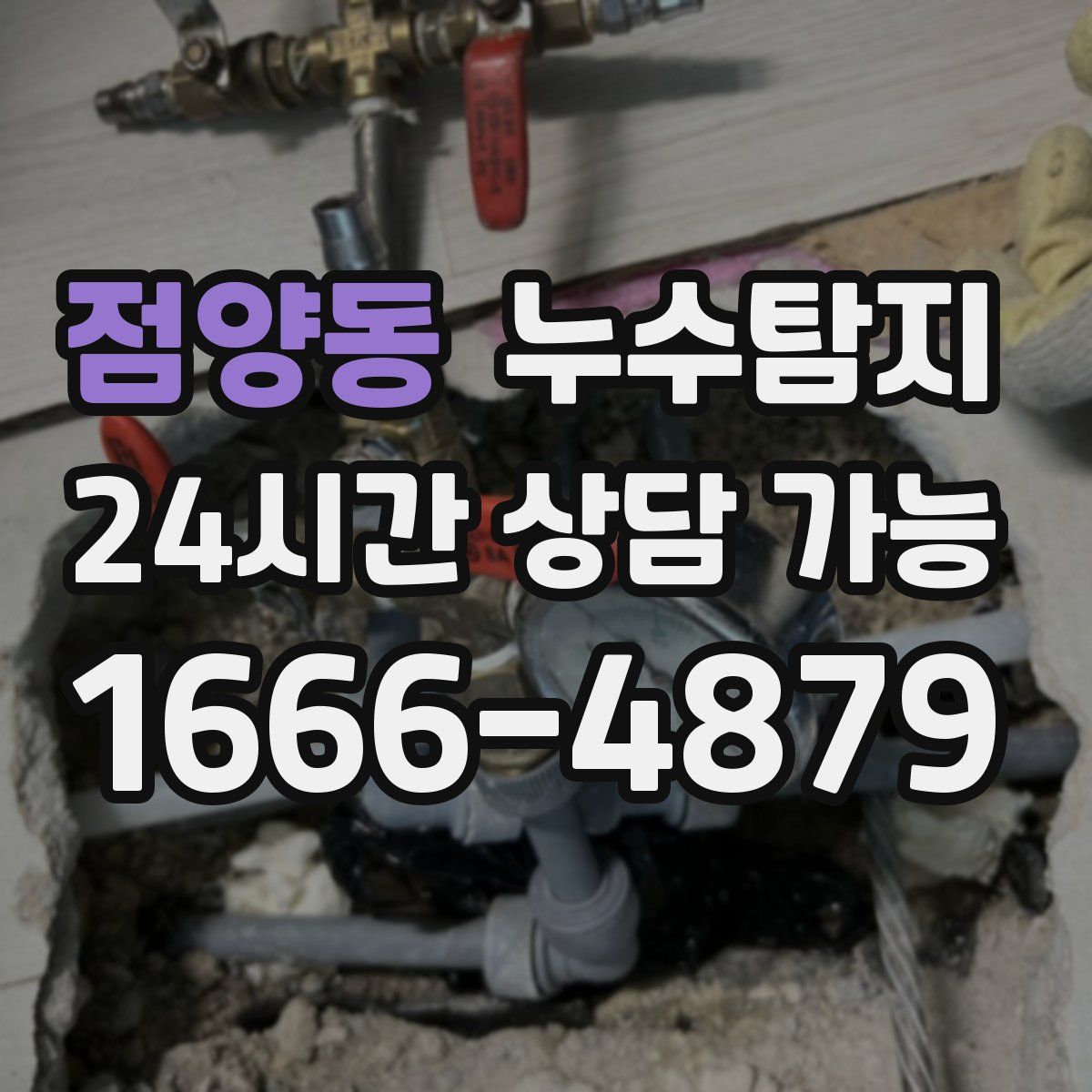 점양동 누수탐지