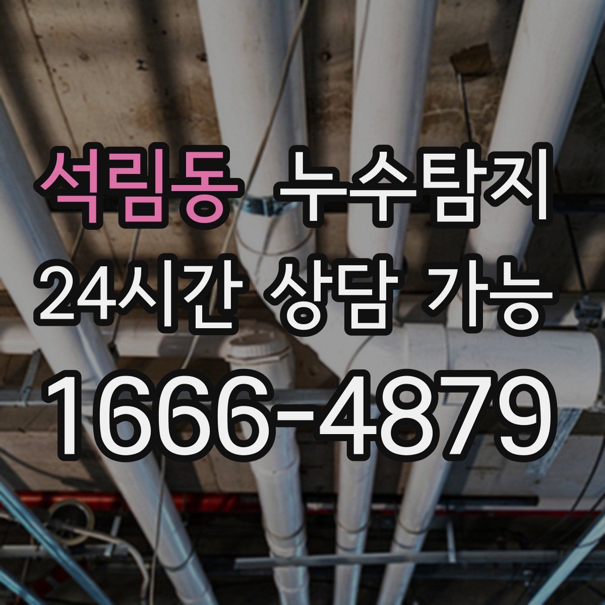 석림동 누수탐지