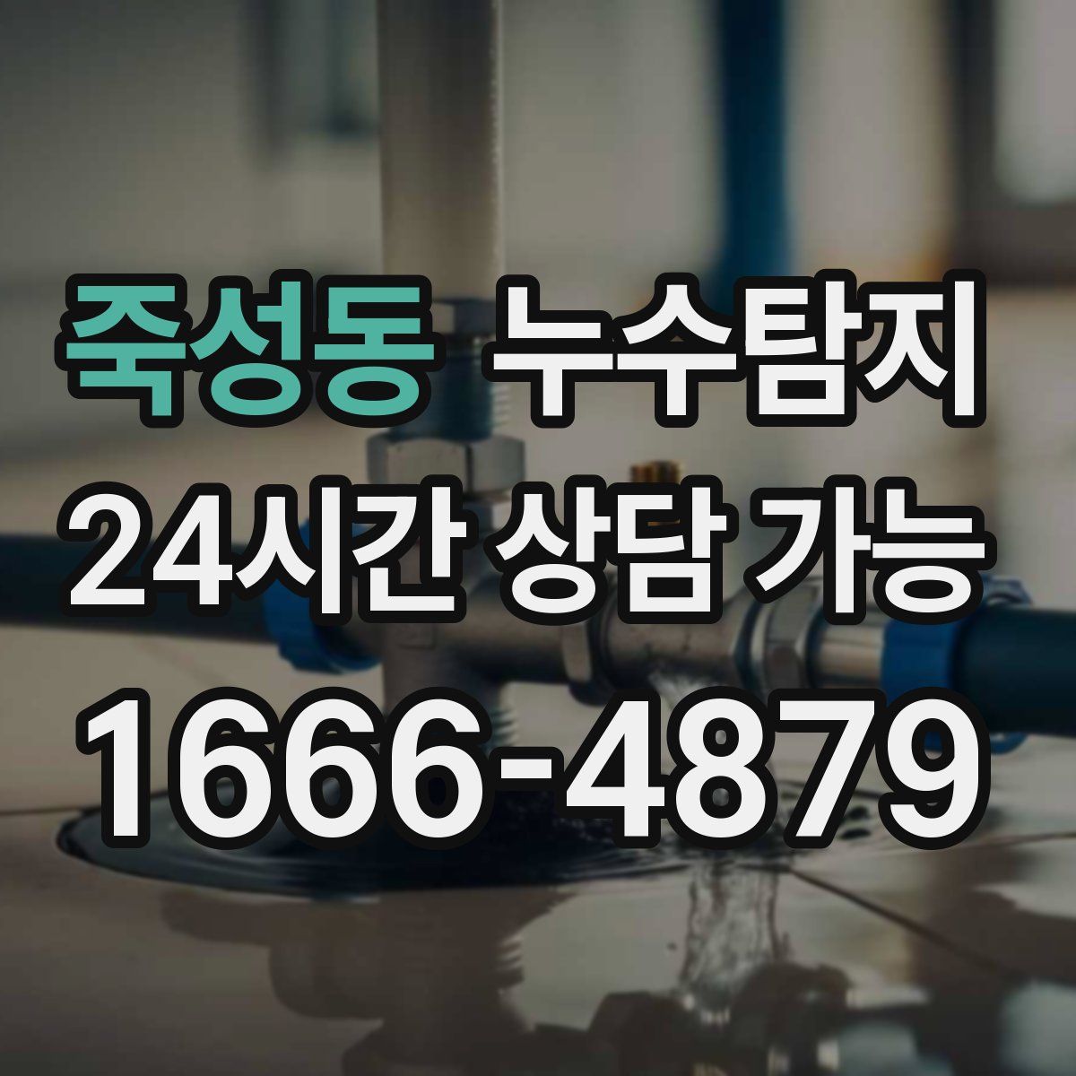 죽성동 누수탐지