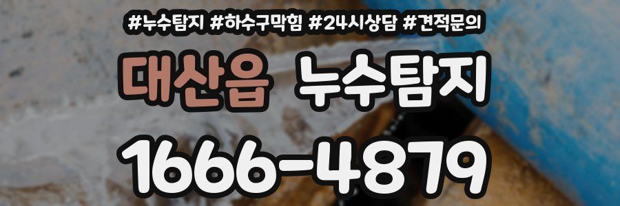 누수탐지