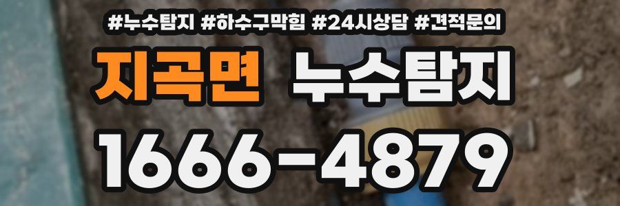 누수탐지