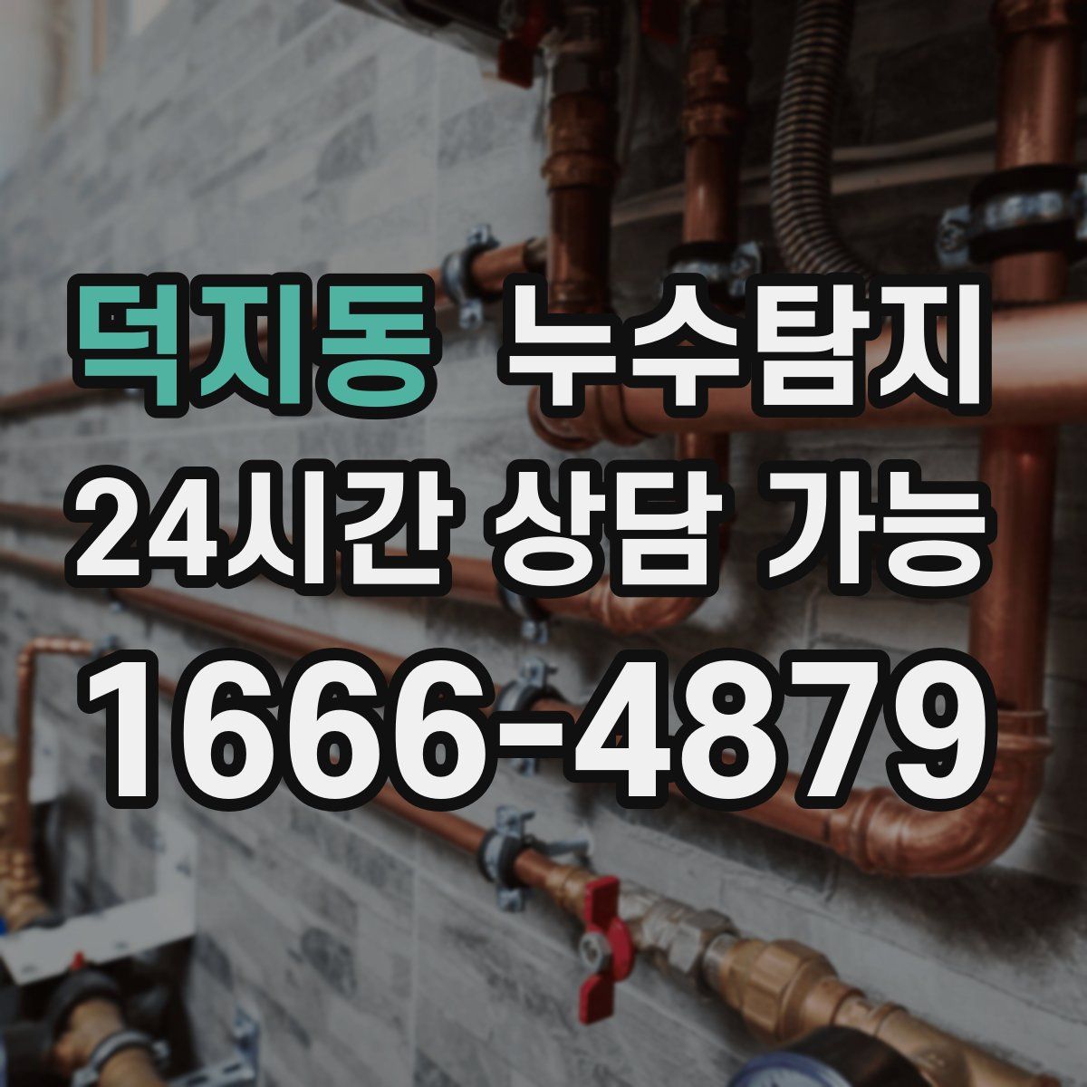 덕지동 누수탐지