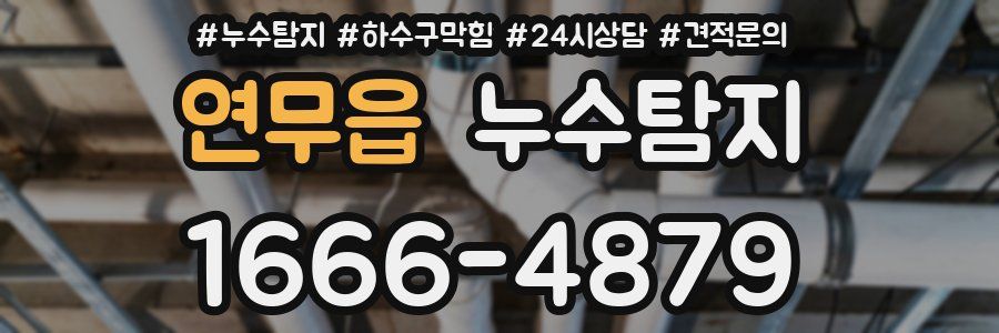 누수탐지