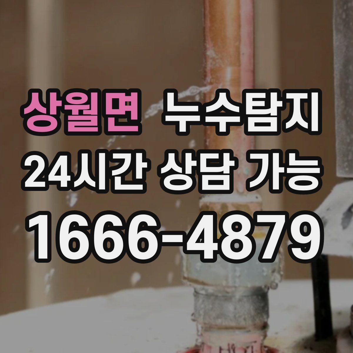상월면 누수탐지 옥상 방수 점검과 보수 타이밍