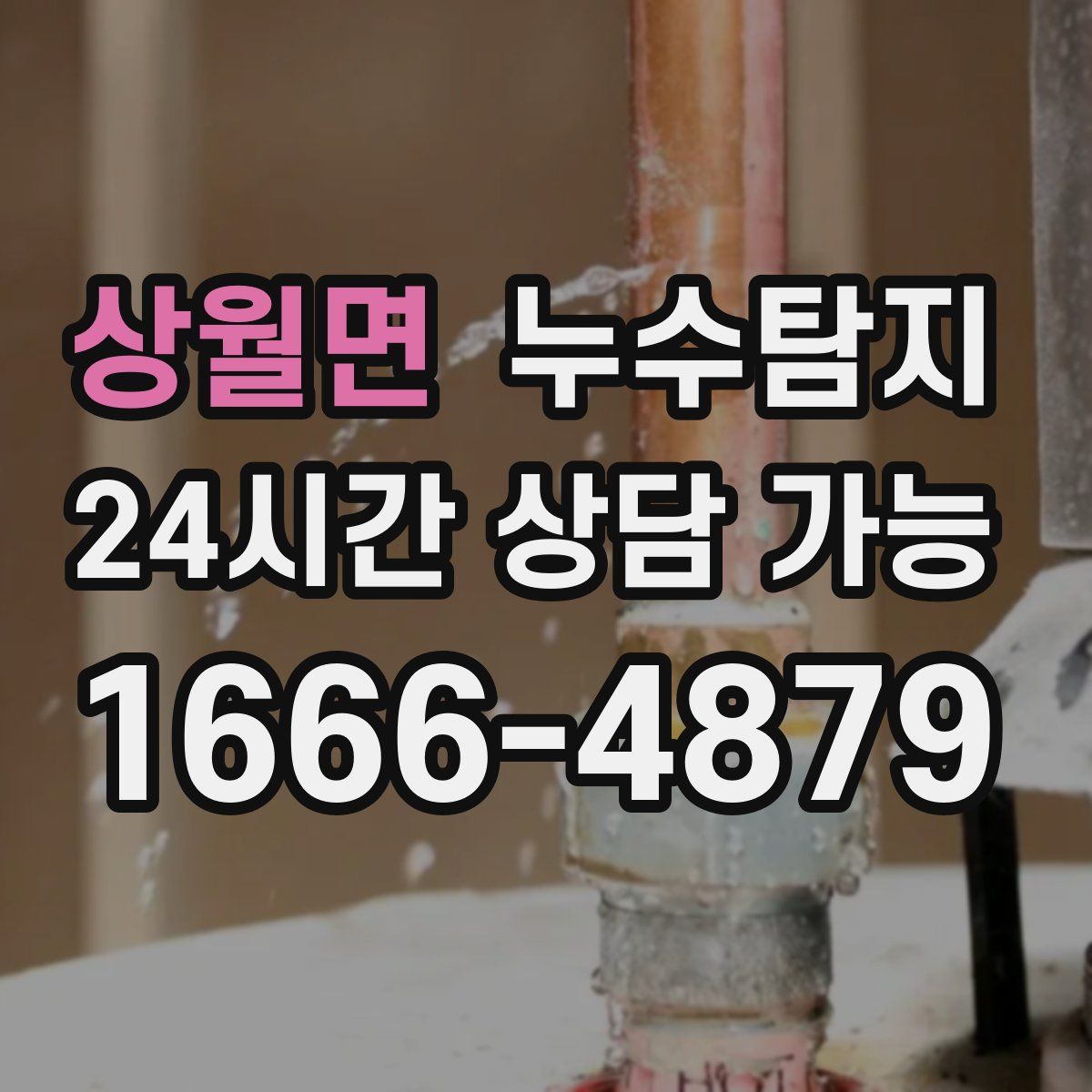 상월면 누수탐지