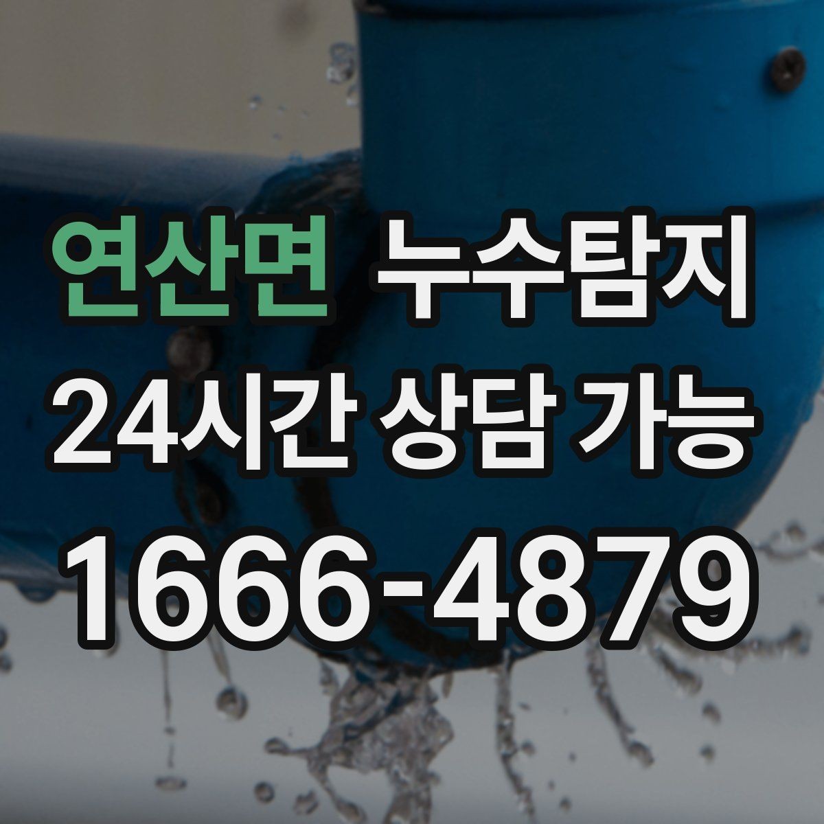연산면 누수탐지 현관 주변 습기 원인 제거 과정