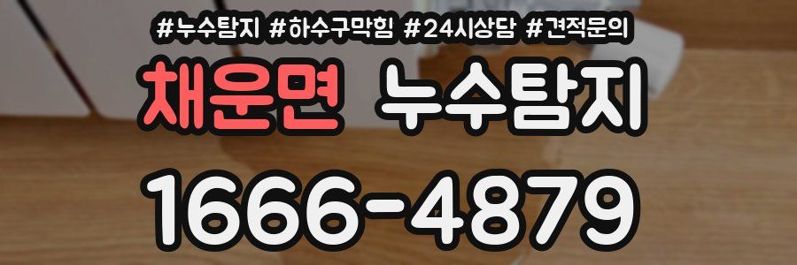 누수탐지