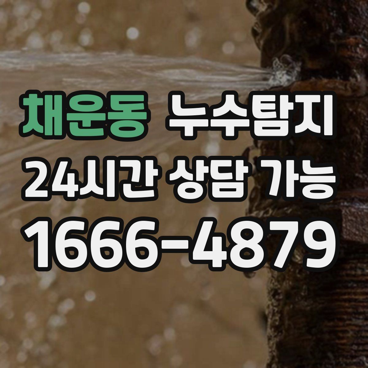 채운동 누수탐지 주말 점검으로 끝낸 응급 상황
