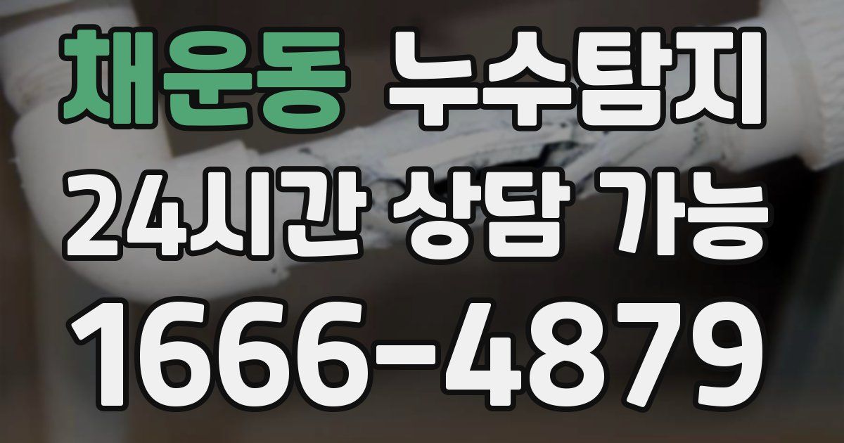 채운동 누수