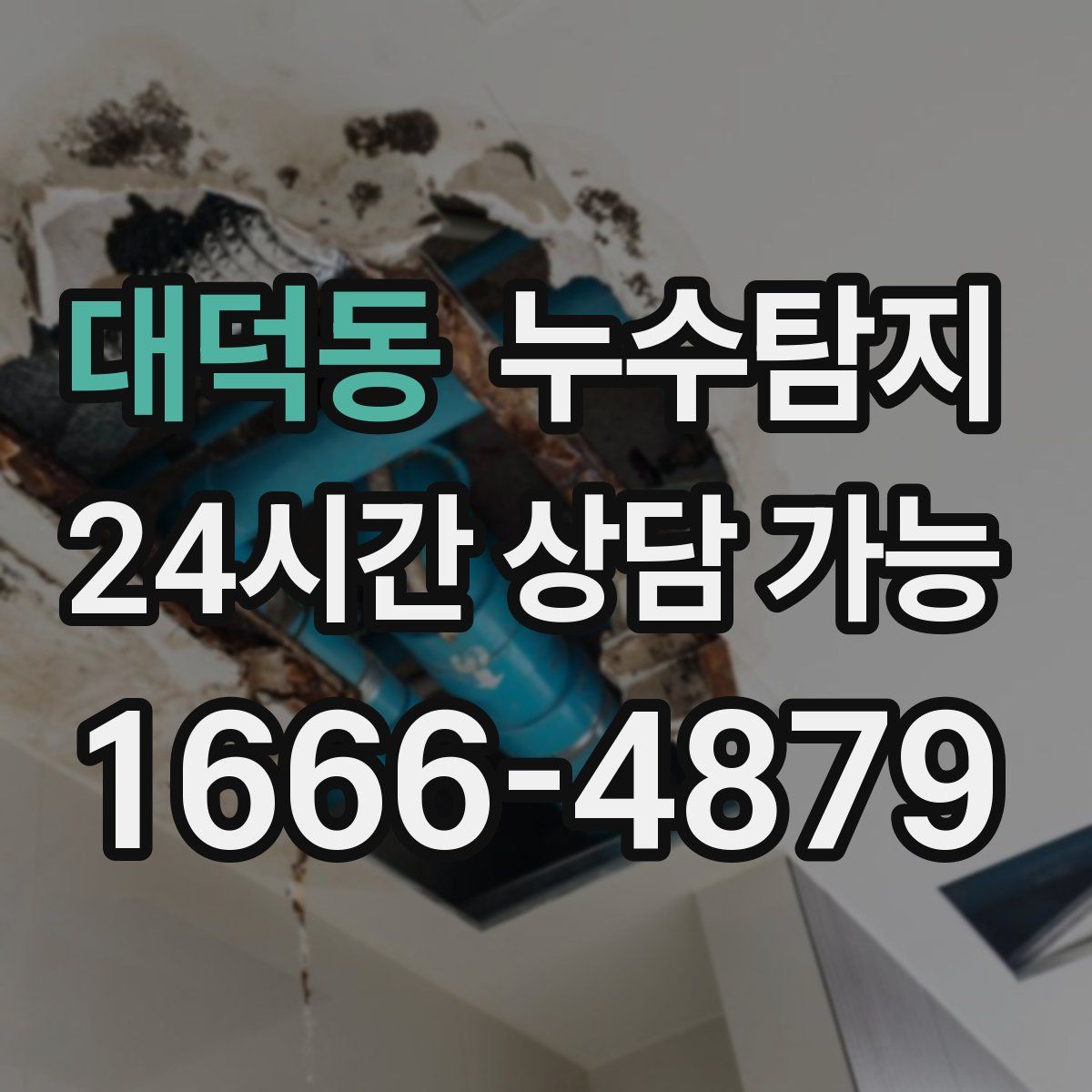 대덕동 누수탐지