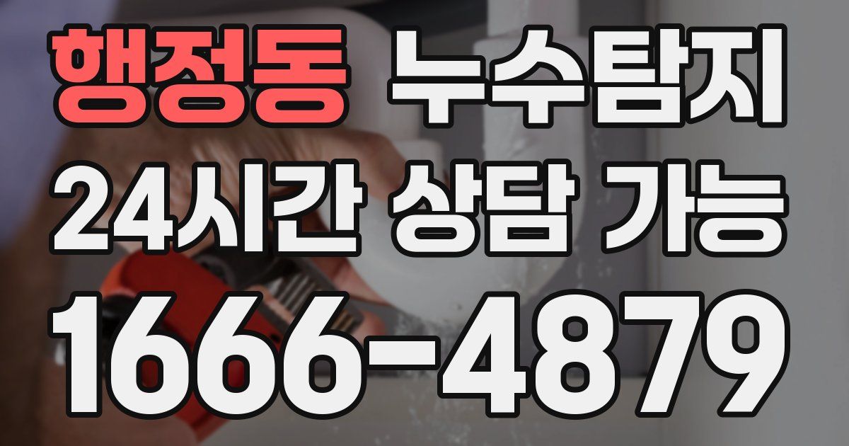 행정동 누수