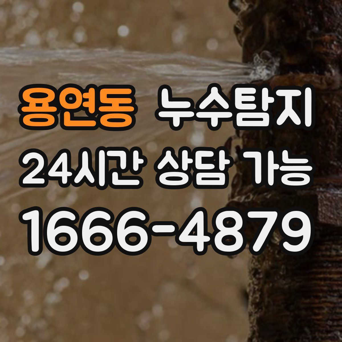 용연동 누수탐지