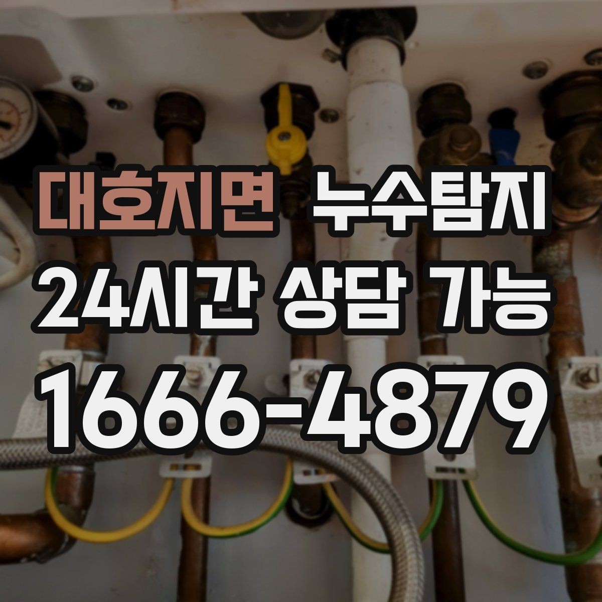 대호지면 누수탐지 공용배관 의심 구간 찾은 날