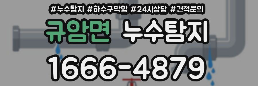 누수탐지
