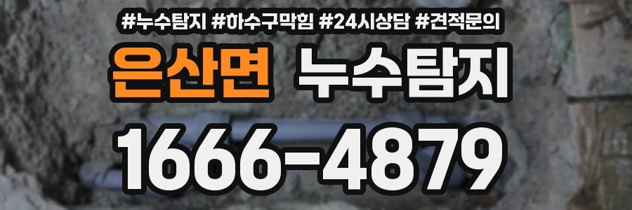 누수탐지