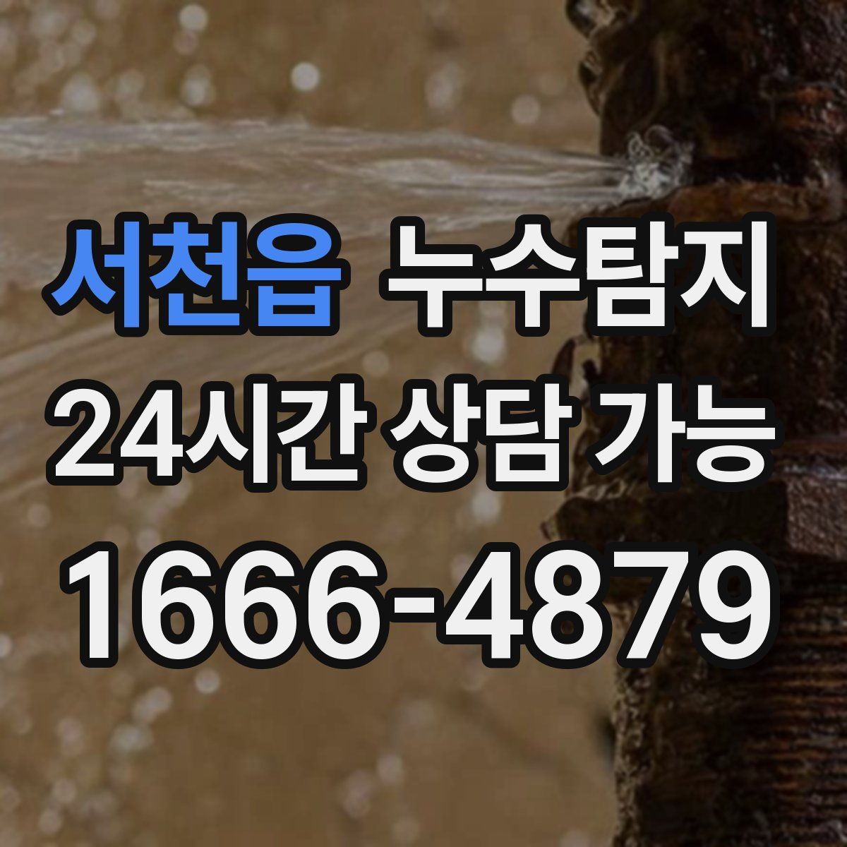 서천읍 누수탐지