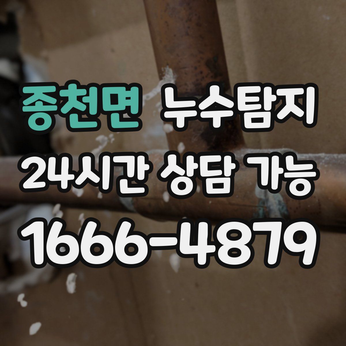 종천면 누수탐지