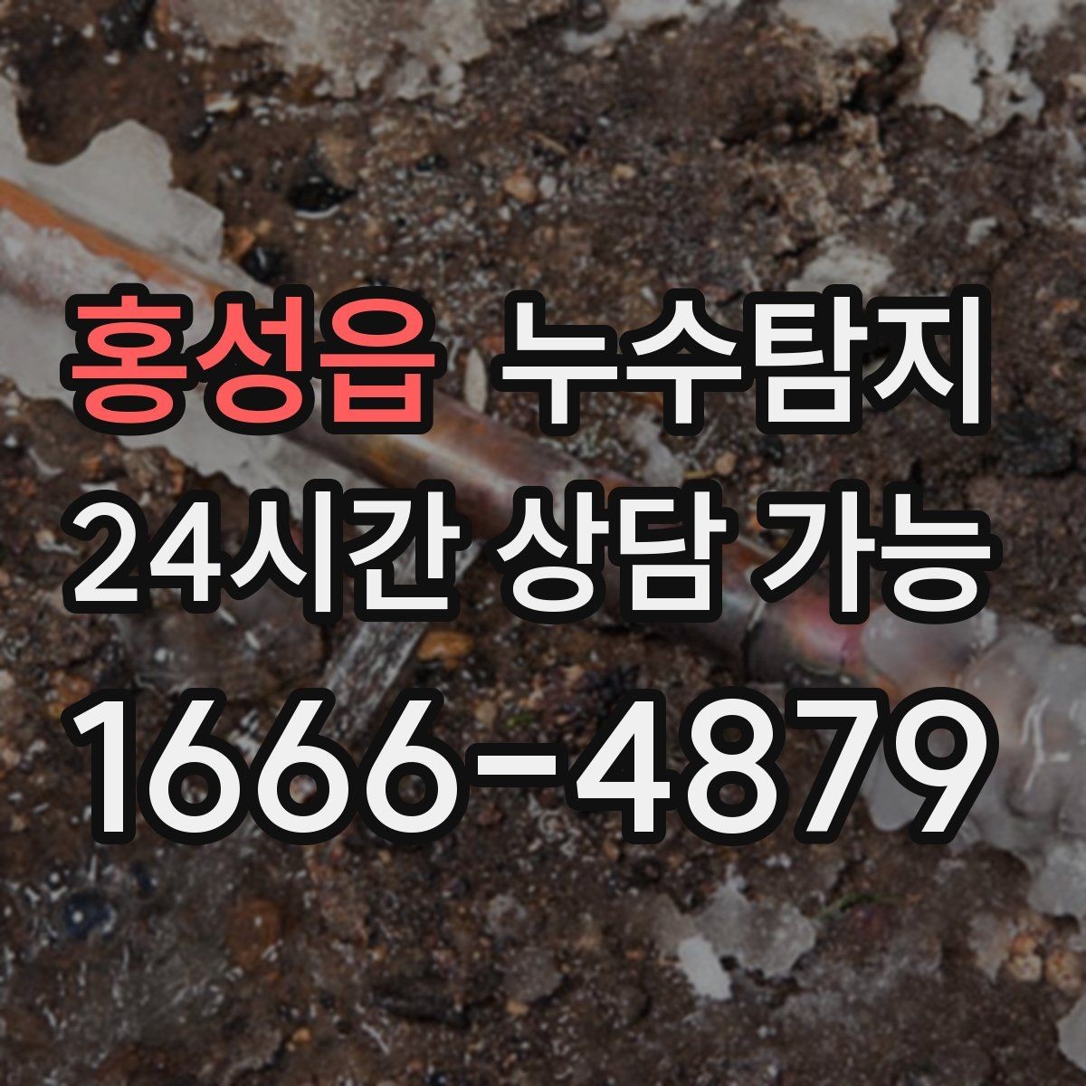 홍성읍 누수탐지 이사 전 하자 사전 점검