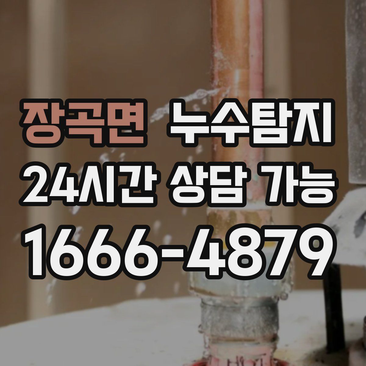 장곡면 누수탐지