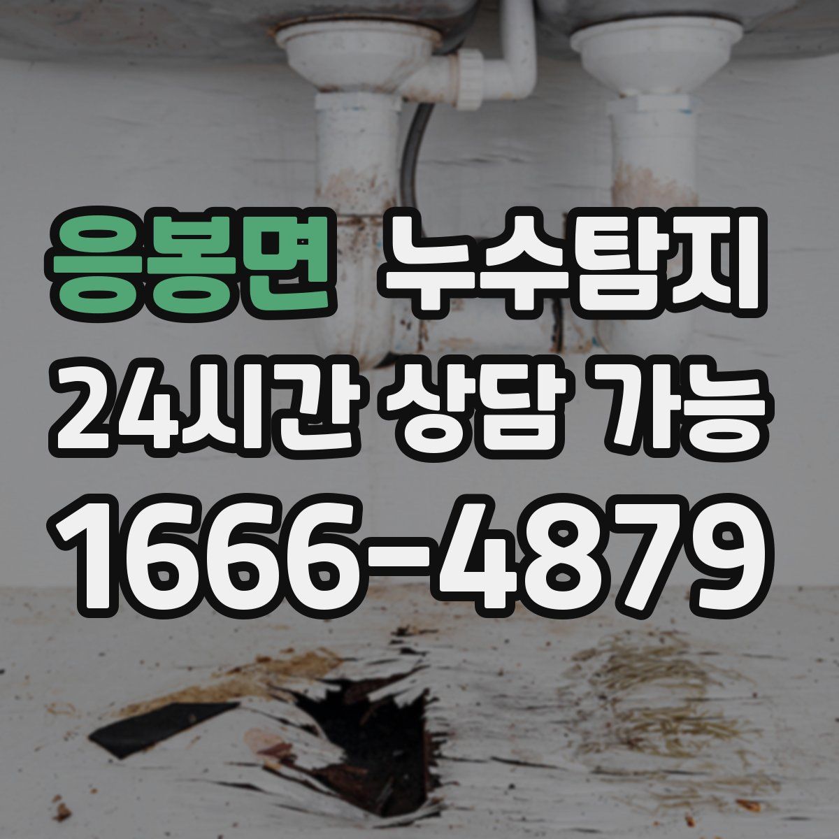 응봉면 누수탐지