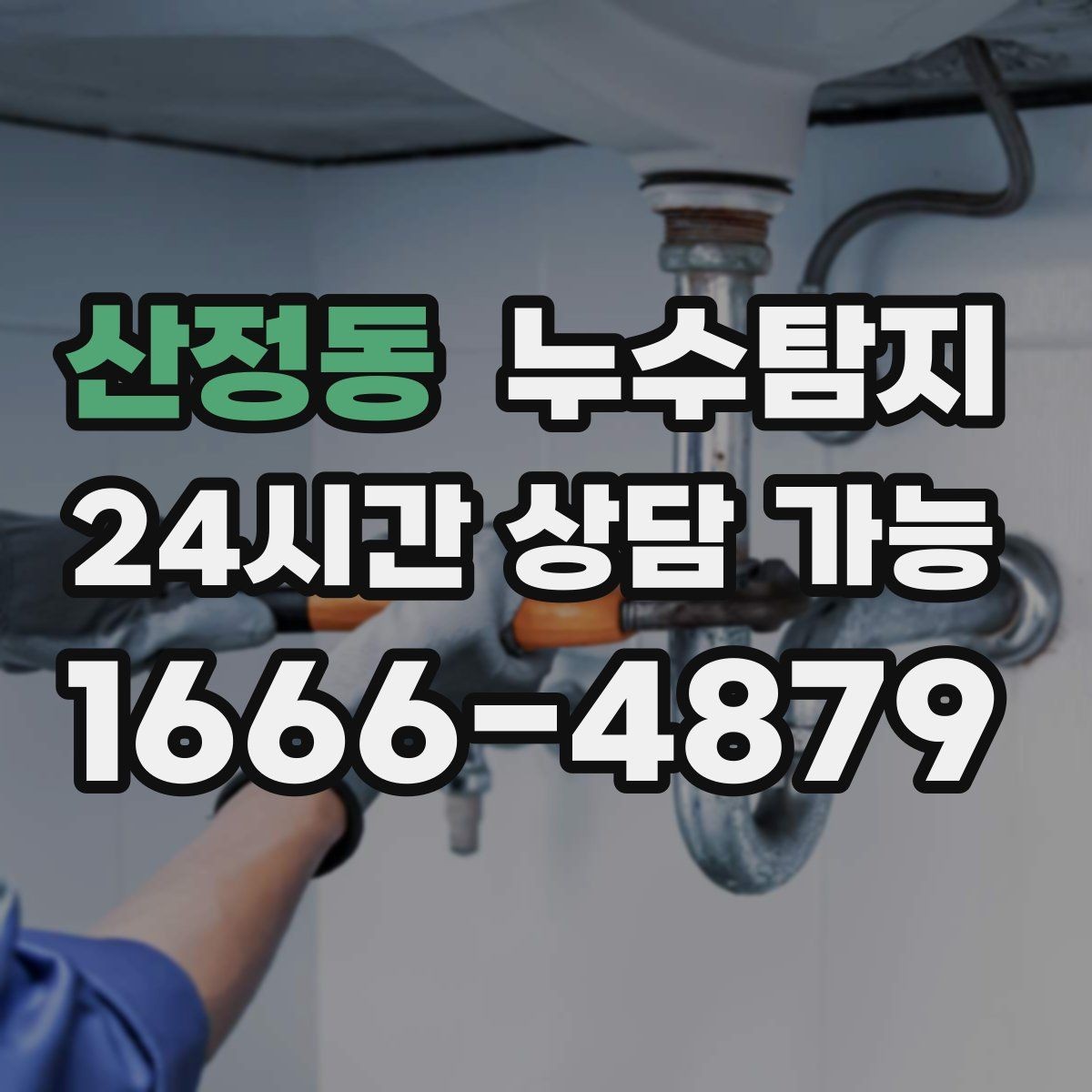 산정동 누수탐지 상가와 카페 영업 중 점검 노하우