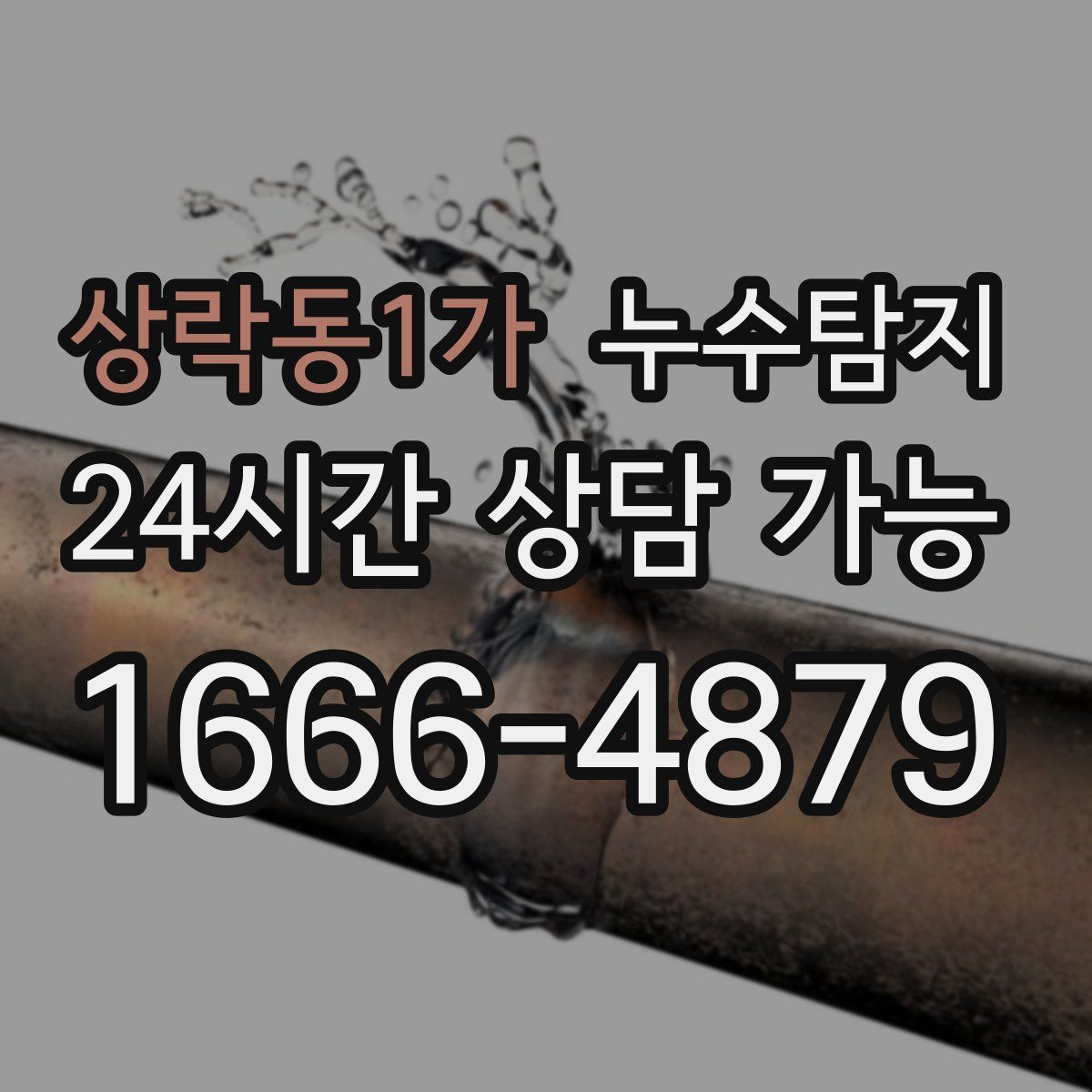 상락동1가 누수탐지