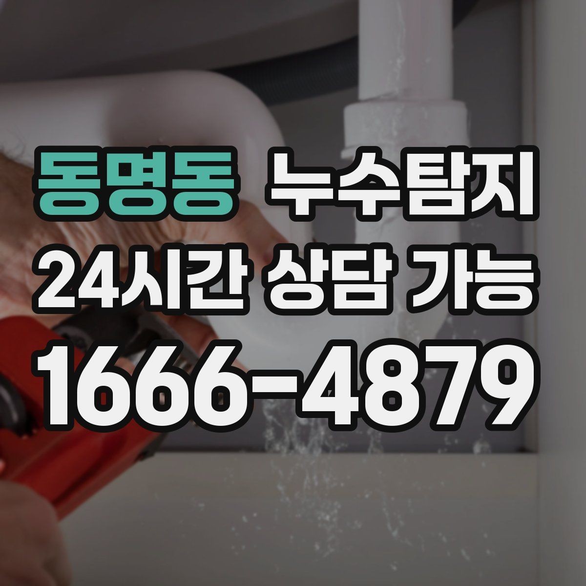 동명동 누수탐지 보고서 읽는 법 초보 가이드