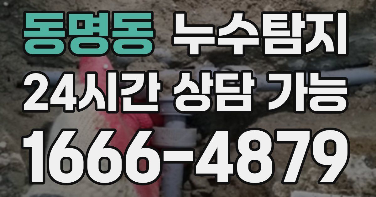 동명동 누수