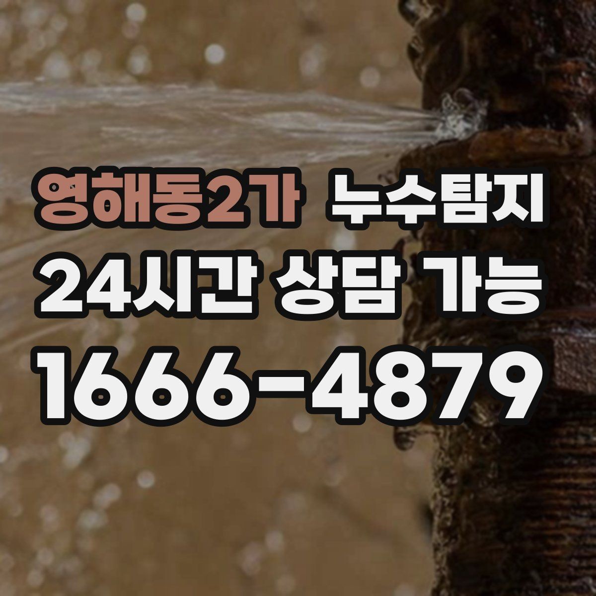 영해동2가 누수탐지 공용배관 의심 구간 찾은 날