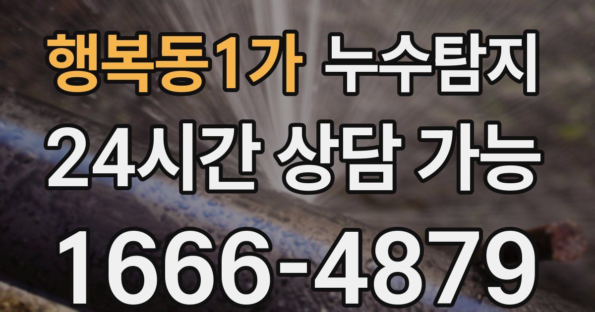행복동1가 누수