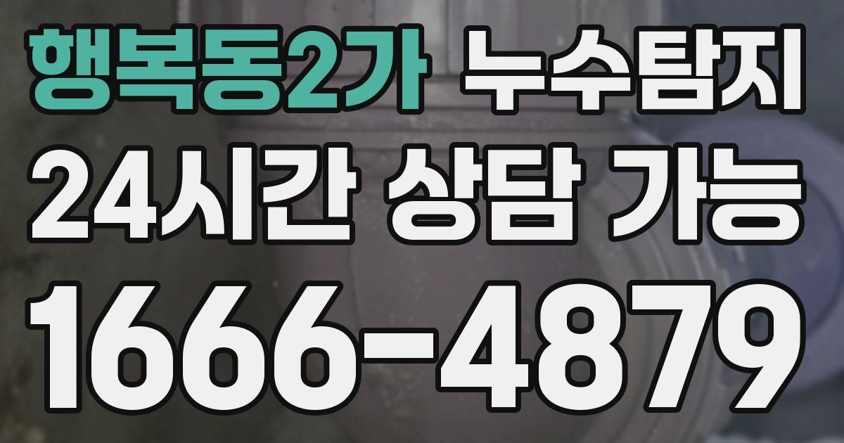 행복동2가 누수