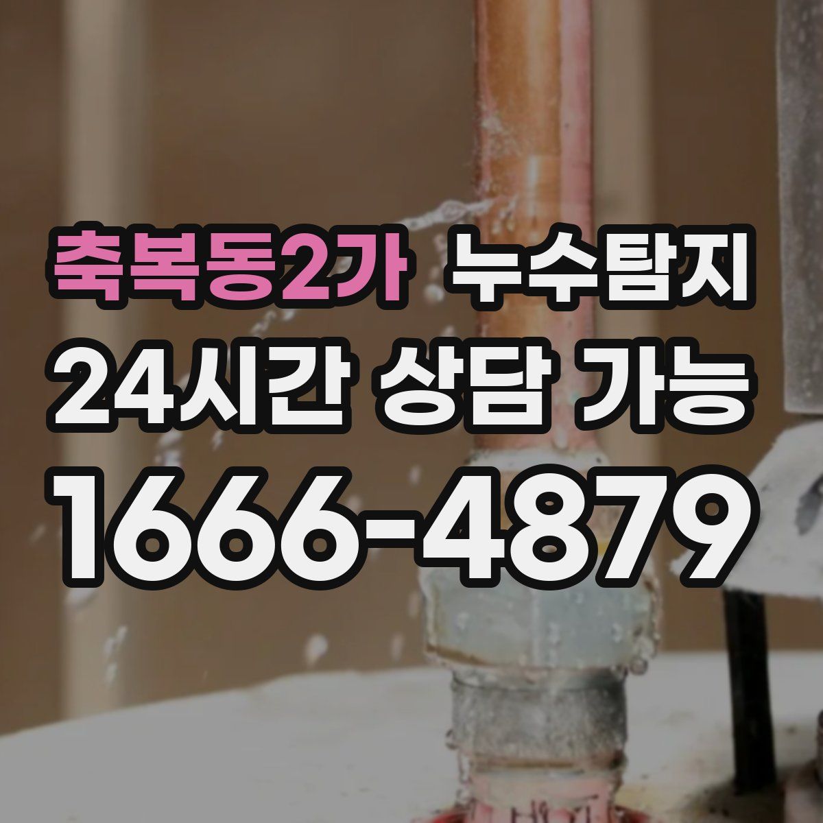 축복동2가 누수탐지