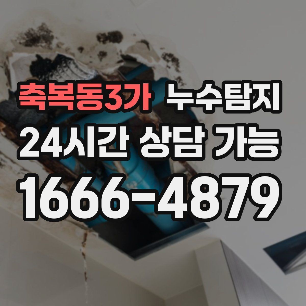 축복동3가 누수탐지 작은 물자국으로 시작된 점검기
