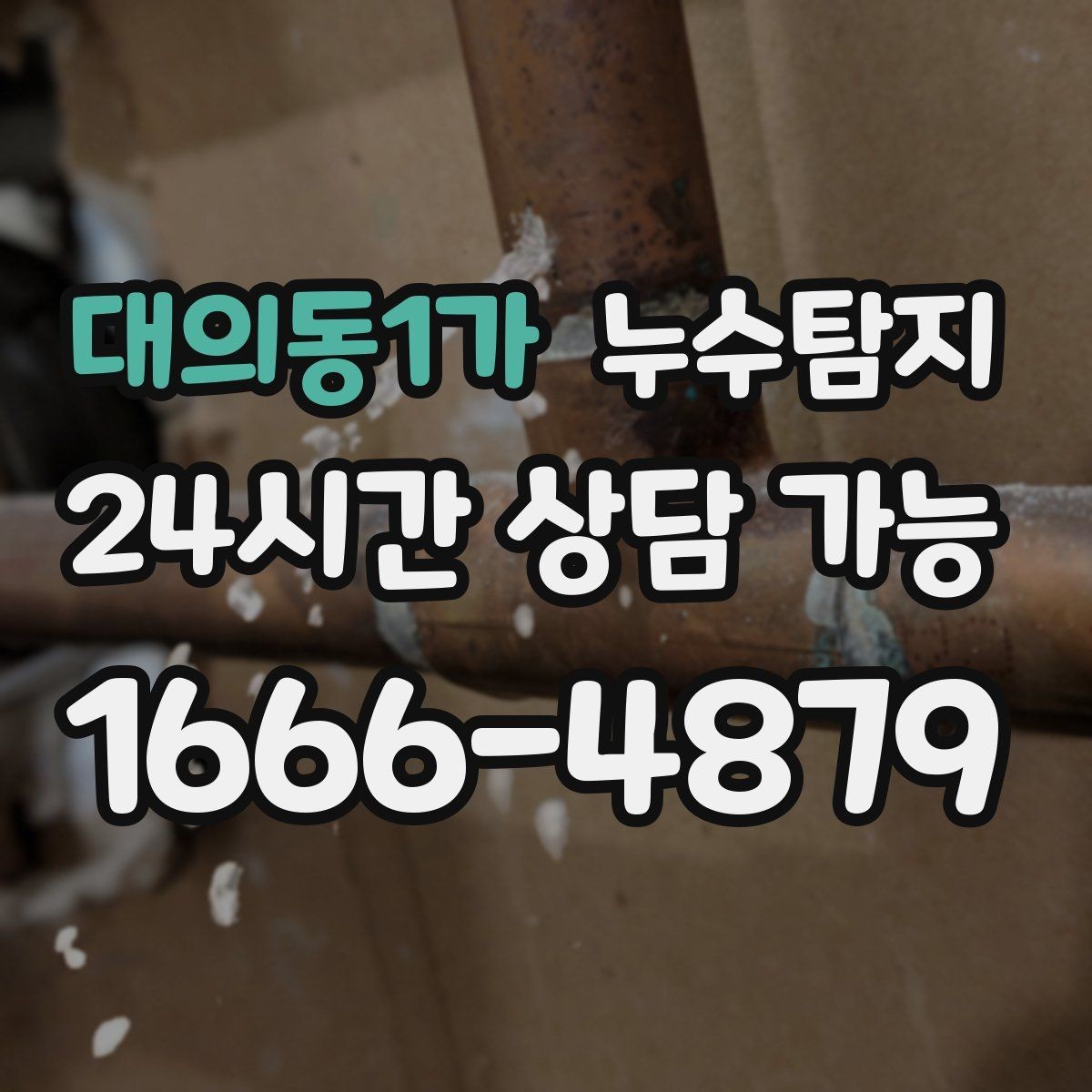 대의동1가 누수탐지 벽체 내부 소리로 찾은 단서