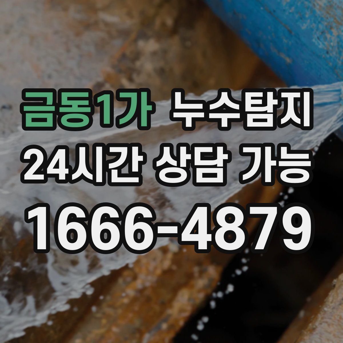 금동1가 누수탐지