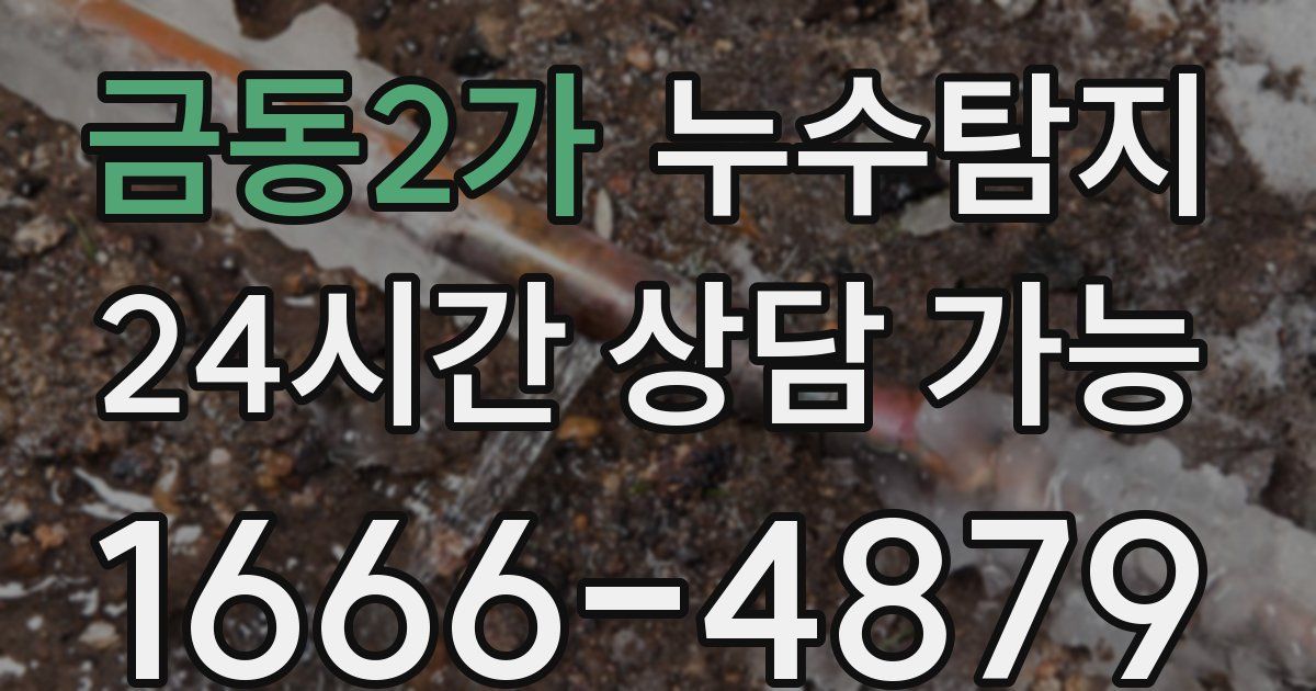 금동2가 누수