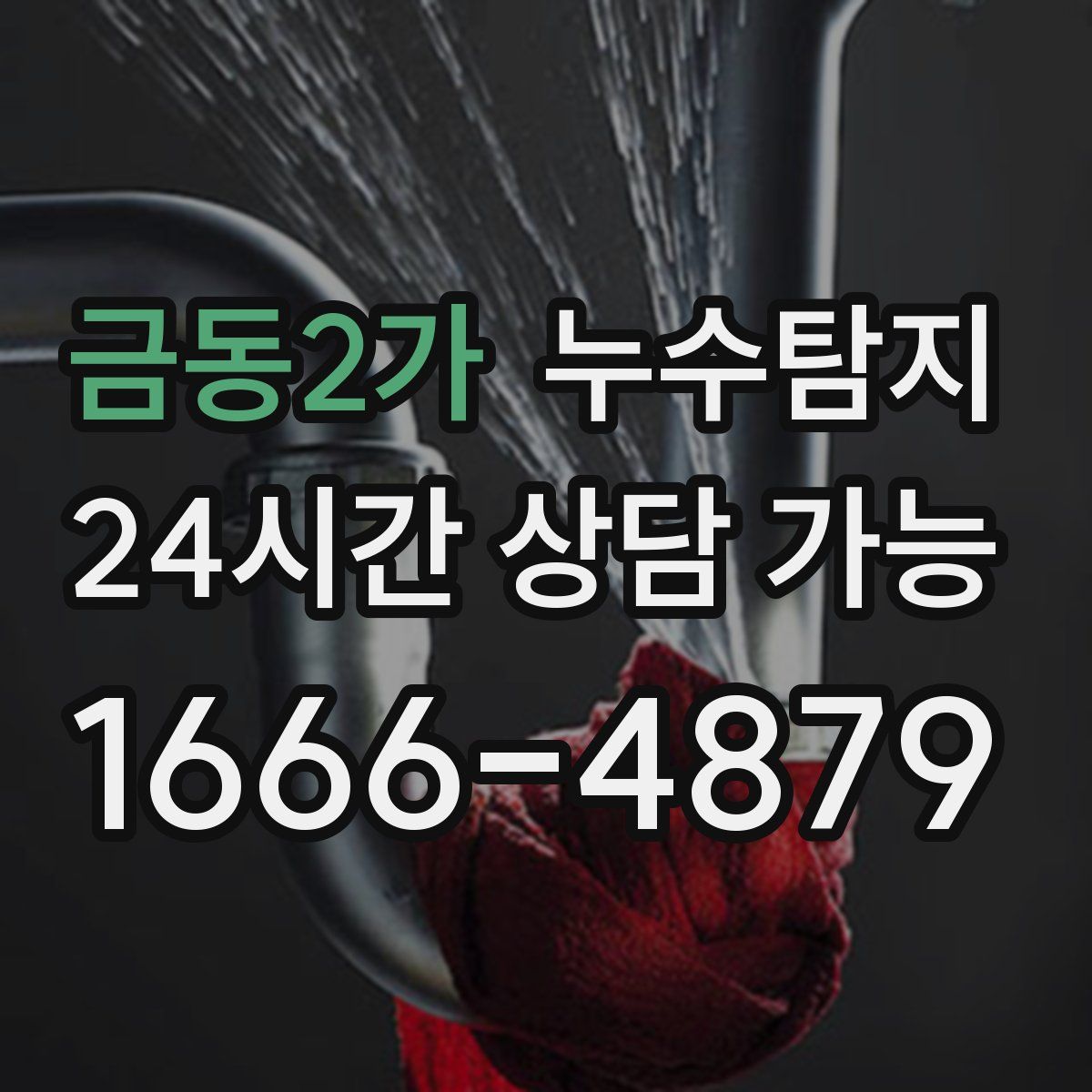 금동2가 누수탐지