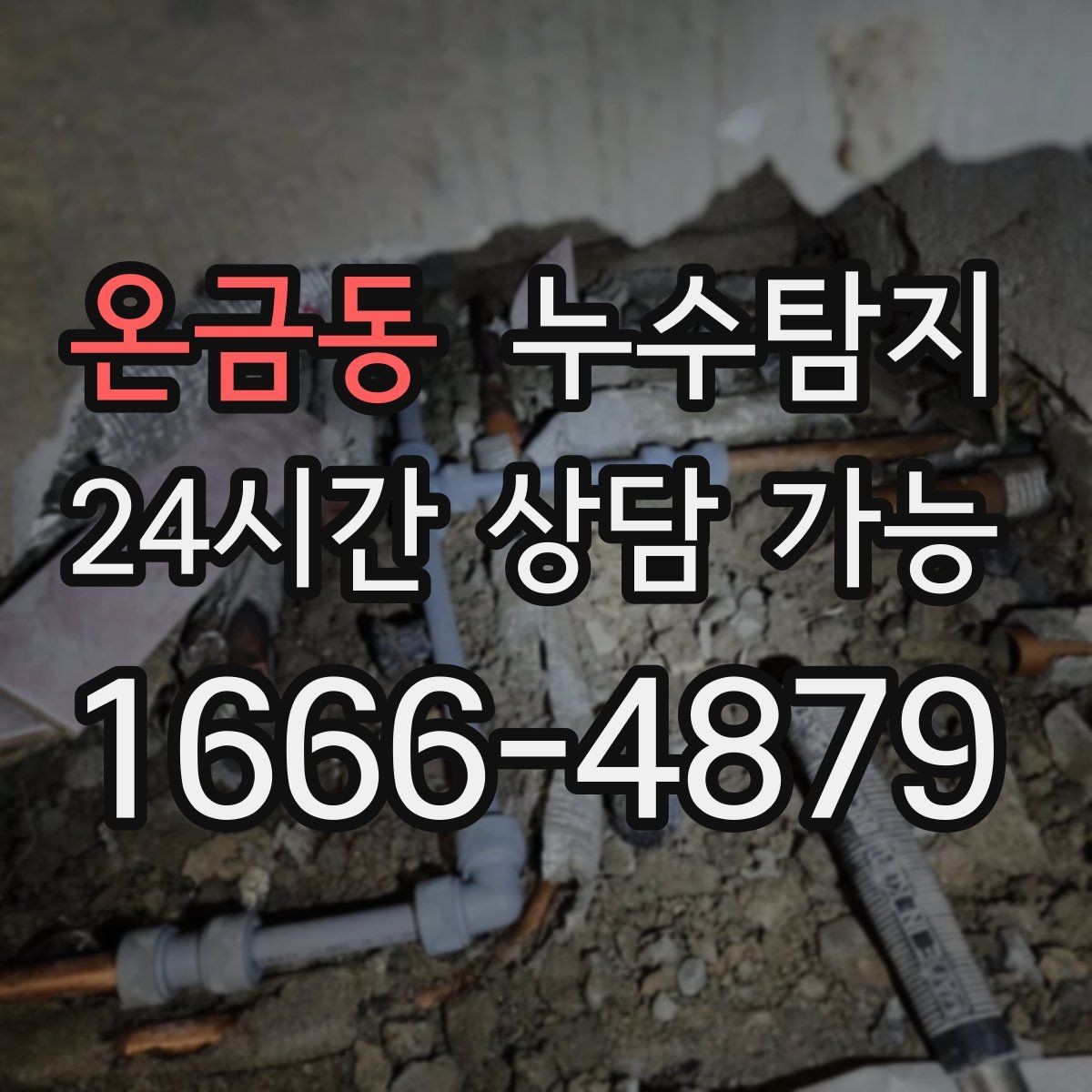 온금동 누수탐지 빠른 방문 당일 진단 가능