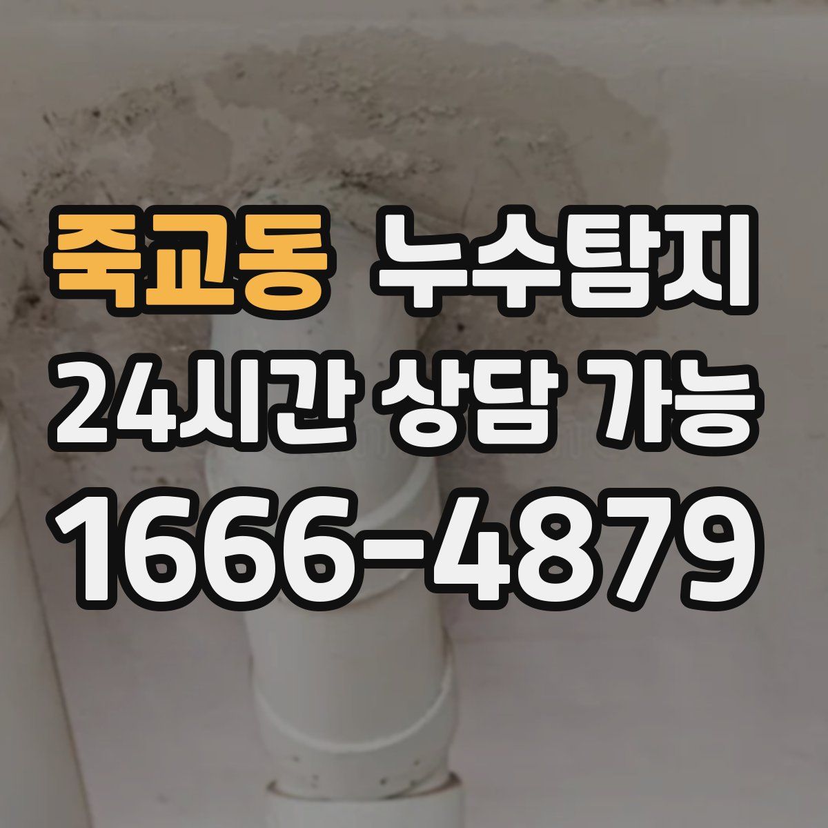 죽교동 누수탐지