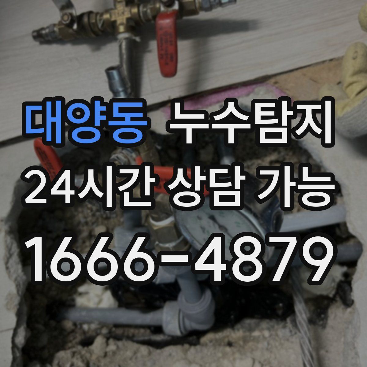 대양동 누수탐지