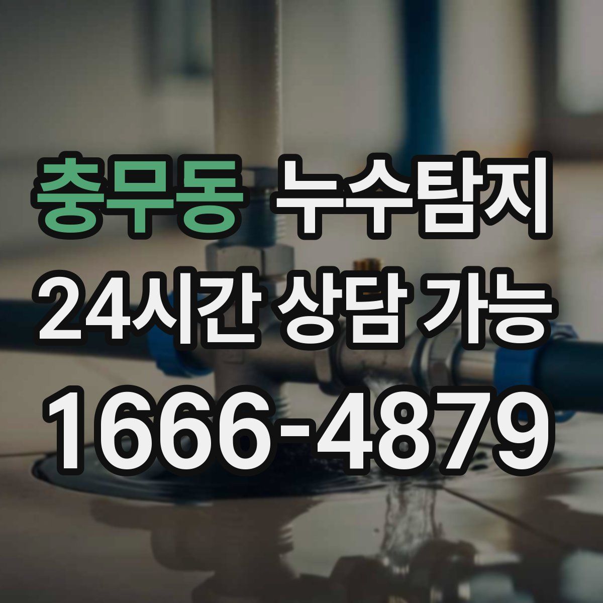 충무동 누수탐지