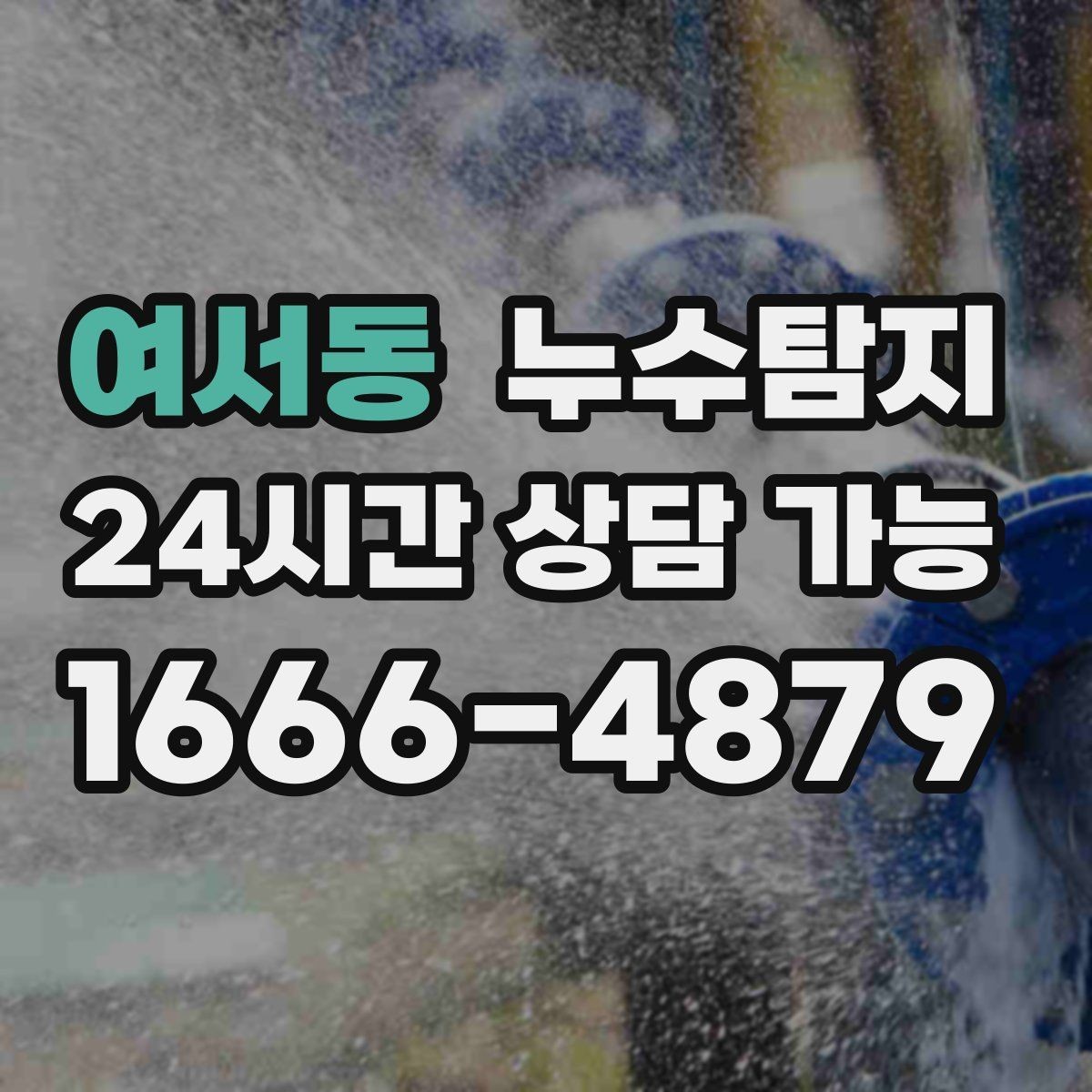 여서동 누수탐지 반려가정 배려 점검 후기